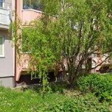 PIONÝRSKÁ SKUPINA ODRA