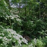 JUNÁK-ČESKÝ SKAUT, STŘEDISKO Kopřivnice