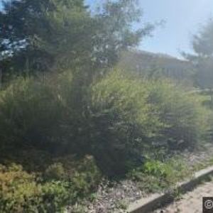 obrazek: avatar MUZEUM LITOVEL