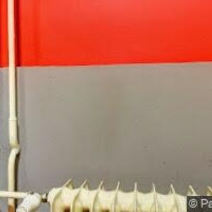 obrazek: avatar DIVADLO PETRA BEZRUČE s.r.o.