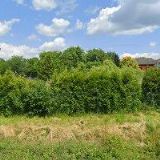 DECHOVÝ ORCHESTR AKORĎANKA