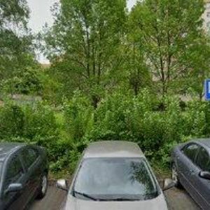 obrazek: avatar ROOTS COMPANY