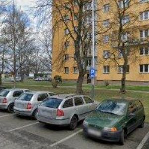 obrazek: avatar SLEZSKÝ SOUBOR HELENY SALICHOVÉ