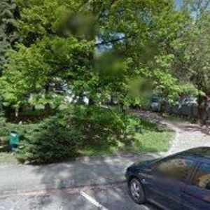 obrazek: avatar FLEGMENS