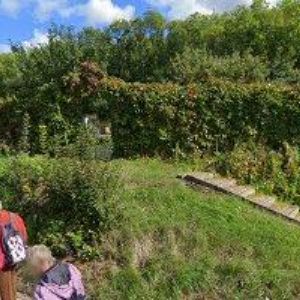 obrazek: avatar FELKLOVÁ ALENA