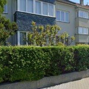 obrazek: avatar FAF ORGANS