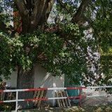 VARHANÁŘSKÁ DÍLNA KÁNSKÝ-BRACHTL