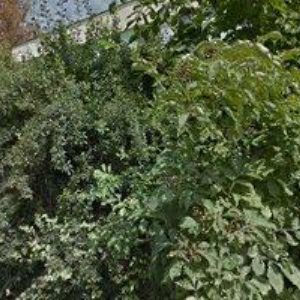 obrazek: avatar EDUKOL VZDĚLÁVACÍ A PORADENSKÉ SDRUŽENÍ s.r.o.