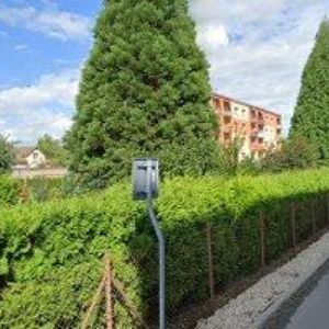 obrazek: avatar BAŽACKÁ MICHAELA Mgr.