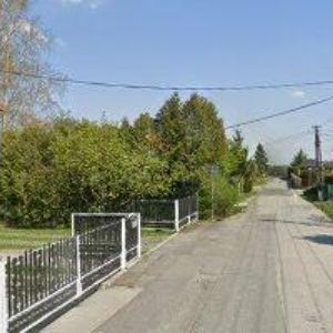 obrazek: avatar JAKOBOVÁ ANNA PaedDr.