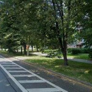 obrazek: avatar VOLF JAN Mgr.