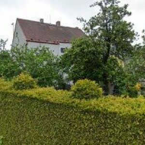 obrazek: avatar KULTURNÍ DŮM DOLNÍ BENEŠOV