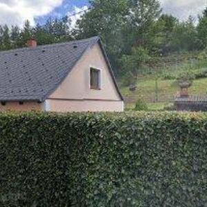 obrazek: avatar CESTA RELAXACE