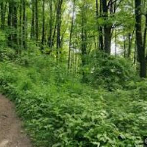 obrazek: avatar HRAD STARÝ JIČÍN