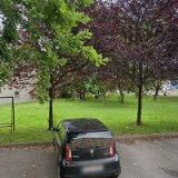 WALLEROVÁ KARLA-REDOS