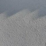 SÝKOROVÁ LENKA Mgr.