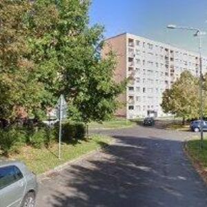 obrazek: avatar RADULAYOVÁ IVA-AMIRESAH