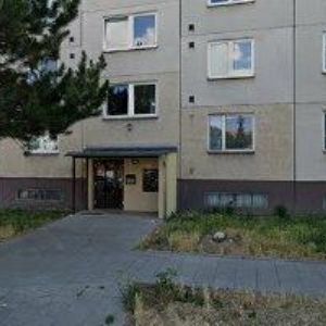 obrazek: avatar CANIS FAMILIARIS-SDRUŽENÍ PŘÁTEL PSŮ