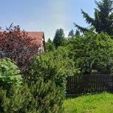 KUBEŠOVÁ ROMANA Mgr.