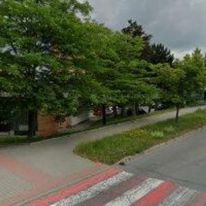 obrazek: avatar MIDIT