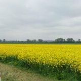 SIČOVÁ DROBNÁ ŽELEZNICE, o.s.