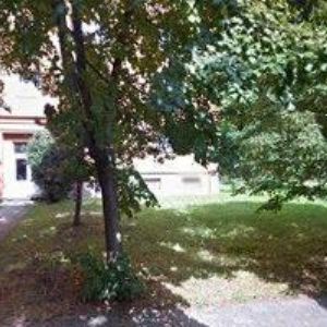 obrazek: avatar AGENTURA SEJA