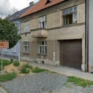 obrazek: avatar BOXER MORAVA  z.s.