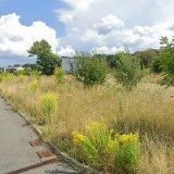 RAMBOUSKOVÁ ZDEŇKA