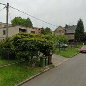 obrazek: avatar MG DANCE