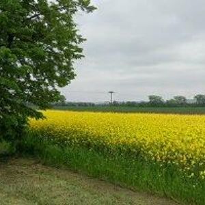 obrazek: avatar VYVIAL JIŘÍ-VIVA