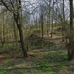 obrazek: avatar MURAS TOMÁŠ