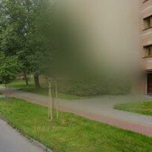 obrazek: avatar VESELÝ ONDŘEJ Mgr.