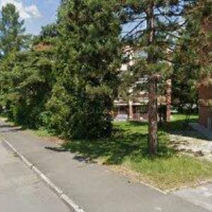 obrazek: avatar ŽVAKOVÁ IVETA-KOUZELNICE