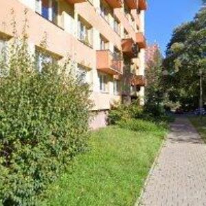 obrazek: avatar KRAWALL