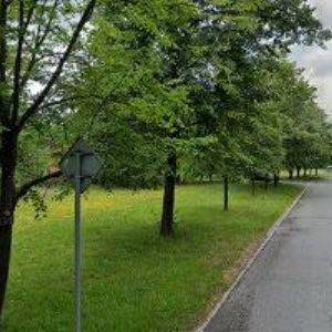 obrazek: avatar SPECIÁLNĚ PEDAGOGICKÉ CENTRUM