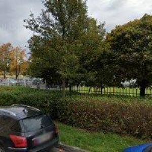 obrazek: avatar BERKY ROBERT