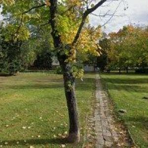 obrazek: avatar FOTOŠEINER s.r.o.