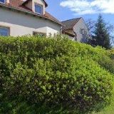 PAZDERA JOSEF-ZÁMEČNICTVÍ