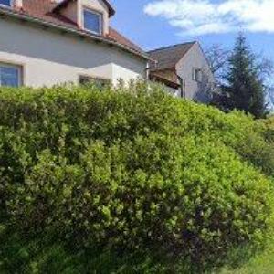 obrazek: avatar PAZDERA JOSEF-ZÁMEČNICTVÍ