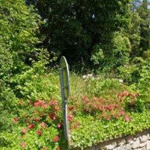 obrazek: avatar BO-RA HRANICE s.r.o.