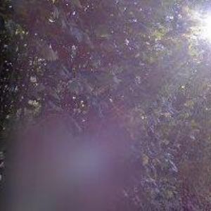 obrazek: avatar RYTÍŘ LUKÁŠ