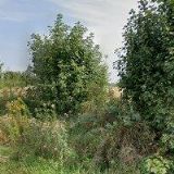 MIKULEC PETR-SANACE-STAVBY.CZ