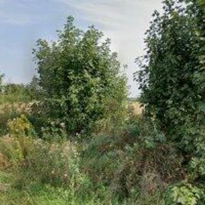 obrazek: avatar MIKULEC PETR-SANACE-STAVBY.CZ