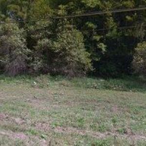 obrazek: avatar VYBÍRAL MILOŠ