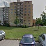 VÍTEK PETR-ZEDNICTVÍ