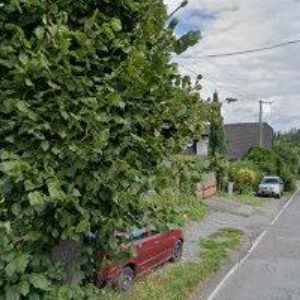 obrazek: avatar MICHÁLEK PAVEL-MIHAKOV