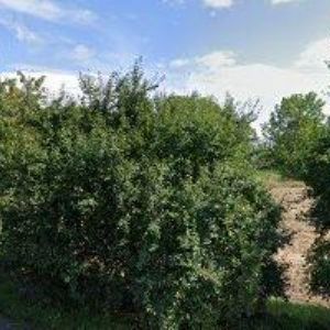 obrazek: avatar NOVAKONSTRUKT s.r.o.