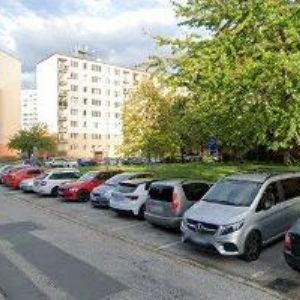 obrazek: avatar PIETRUS MAREK