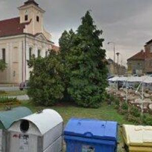 obrazek: avatar MEDUŇKA-POHLAZENÍ DUŠE