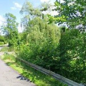 obrazek: avatar CZECH MIROSLAV